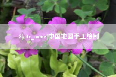 保亭中国地图手工绘制