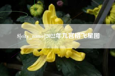保亭2022年九宫格飞星图