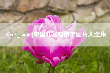 保亭中国九宫格数字图片大全集