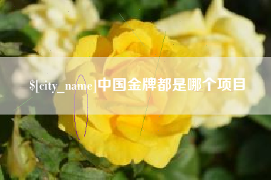 保亭中国金牌都是哪个项目