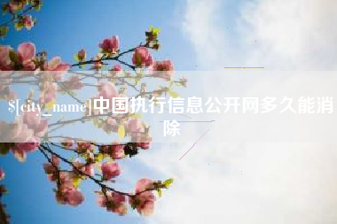 保亭中国执行信息公开网多久能消除