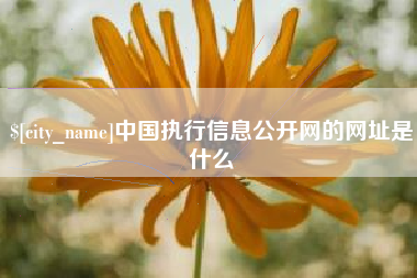 保亭中国执行信息公开网的网址是什么