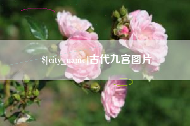 保亭古代九宫图片