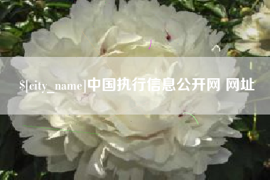 保亭中国执行信息公开网 网址