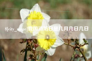 保亭我国消防日是几月几日几日
