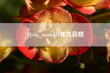 保亭21年九宫格