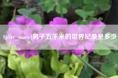 保亭男子五千米的世界纪录是多少