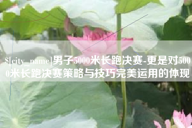 保亭男子5000米长跑决赛-更是对5000米长跑决赛策略与技巧完美运用的体现