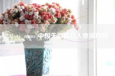 保亭中国失信执行人查询官网