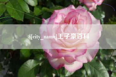 保亭王子豪百科