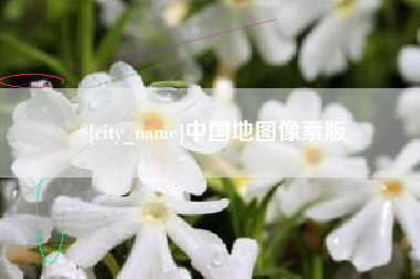 保亭中国地图像素版