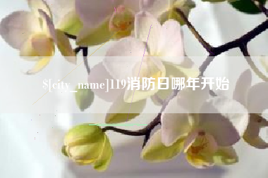 保亭119消防日哪年开始