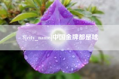 保亭中国金牌都是啥