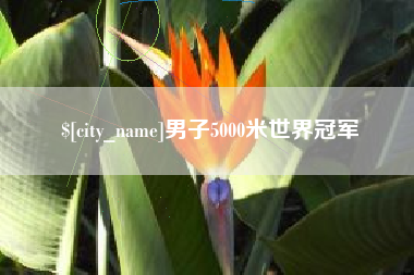 保亭男子5000米世界冠军