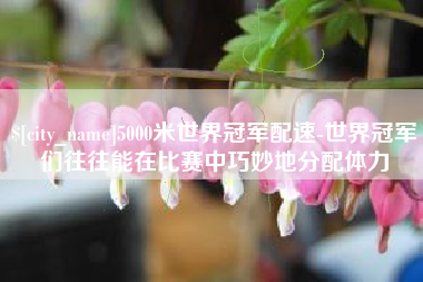 保亭5000米世界冠军配速-世界冠军们往往能在比赛中巧妙地分配体力