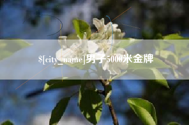 保亭男子5000米金牌