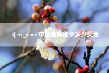 保亭中国金牌能拿多少奖金