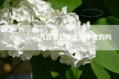 保亭九宫星位是定位不变的吗
