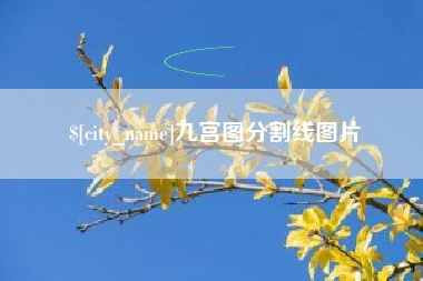 保亭九宫图分割线图片