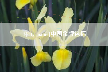 保亭中国金牌包括