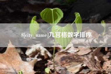 保亭九宫格数字排序