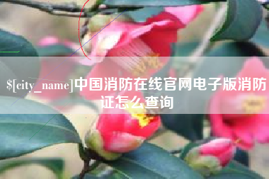 保亭中国消防在线官网电子版消防证怎么查询
