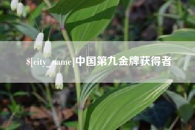 保亭中国第九金牌获得者