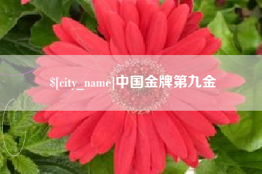 保亭中国金牌第九金
