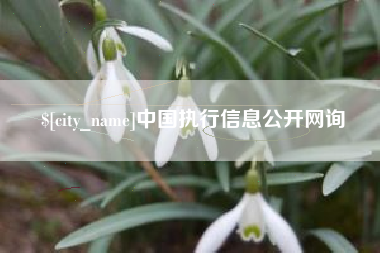 保亭中国执行信息公开网询