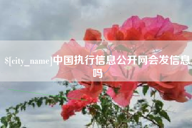 保亭中国执行信息公开网会发信息吗
