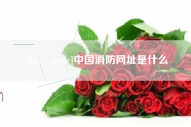 保亭中国消防网址是什么
