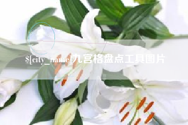 保亭九宫格盘点工具图片