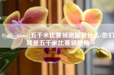 保亭五千米比赛领跑员是什么-他们就是五千米比赛领跑员