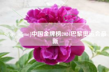保亭中国金牌榜2024巴黎奥运会最新