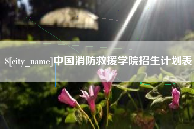 保亭中国消防救援学院招生计划表