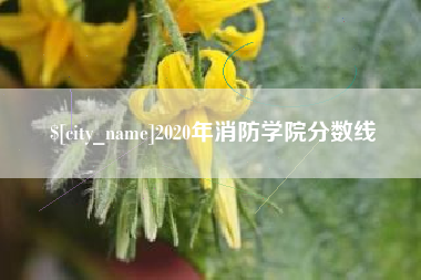 保亭2020年消防学院分数线