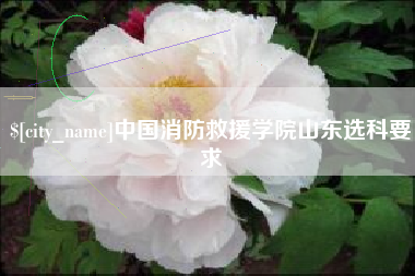 保亭中国消防救援学院山东选科要求