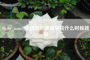 保亭中国消防救援学院什么时候政审