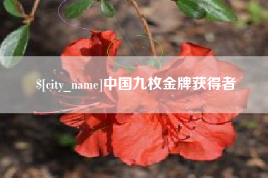 保亭中国九枚金牌获得者