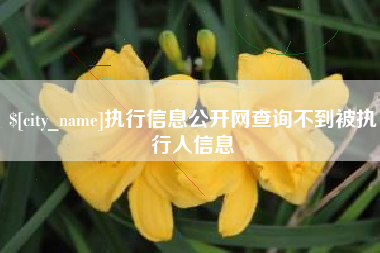 保亭执行信息公开网查询不到被执行人信息
