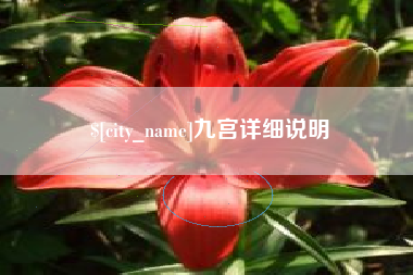 保亭九宫详细说明