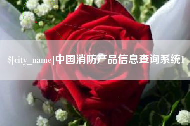 保亭中国消防产品信息查询系统1