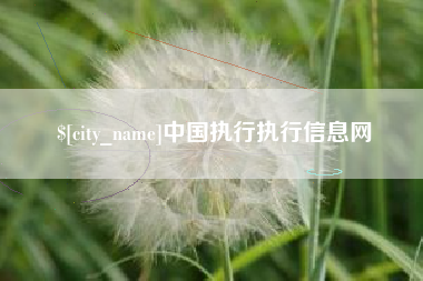 保亭中国执行执行信息网