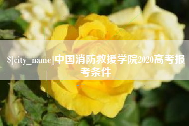 保亭中国消防救援学院2020高考报考条件
