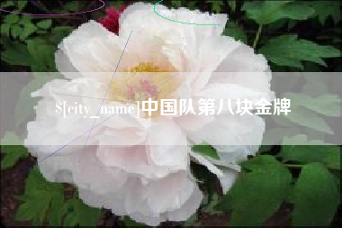 保亭中国队第八块金牌