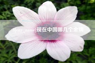保亭现在中国哪几个金牌