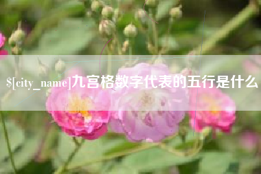 保亭九宫格数字代表的五行是什么