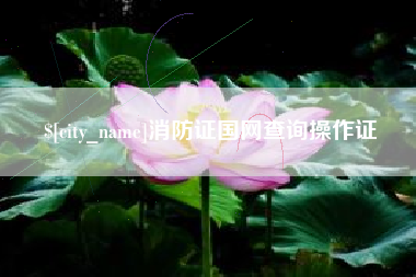 保亭消防证国网查询操作证