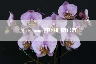 保亭中国消防官方