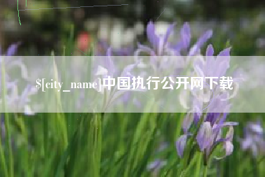 保亭中国执行公开网下载